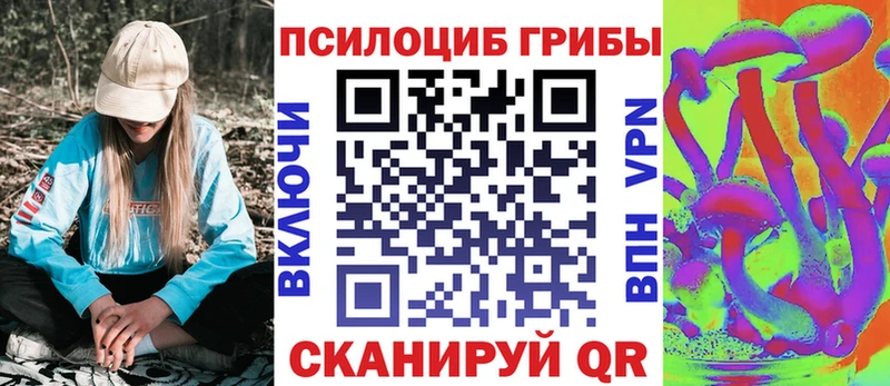 как найти закладки Электросталь Галлюциногенные грибы Magic Shrooms