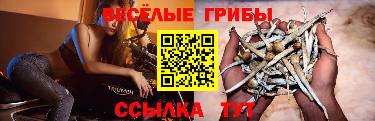 Псилоцибиновые грибы мицелий  Вход с VPN  Электросталь  Галлюциногенные грибы Magic Shrooms 